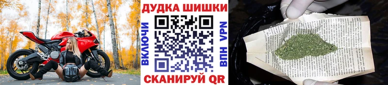 Шишки марихуана OG Kush  Морозовск 